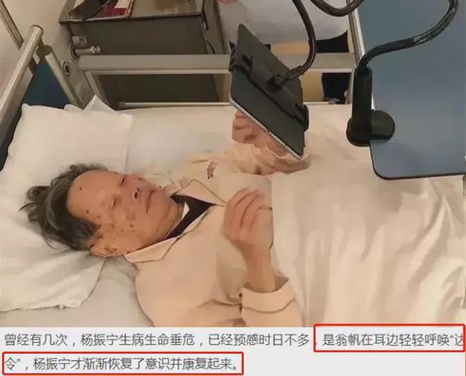 杨振宁翁帆回北京过年清华别墅内受访婚纱照瞩目院内种满玫瑰(图10)