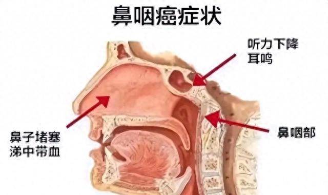 逆袭妻子成大学教授丈夫摆地摊真相竟是他！(图6)