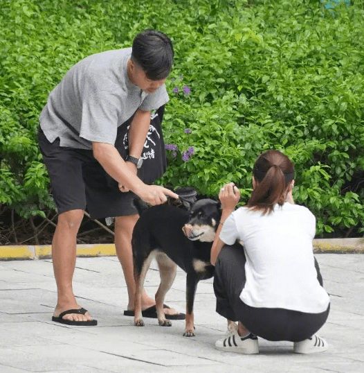 马国明前女友黄心颖大婚？穿吊带拖尾婚纱甜笑老公泥鯭连飙情话博鱼体育网址(图3)