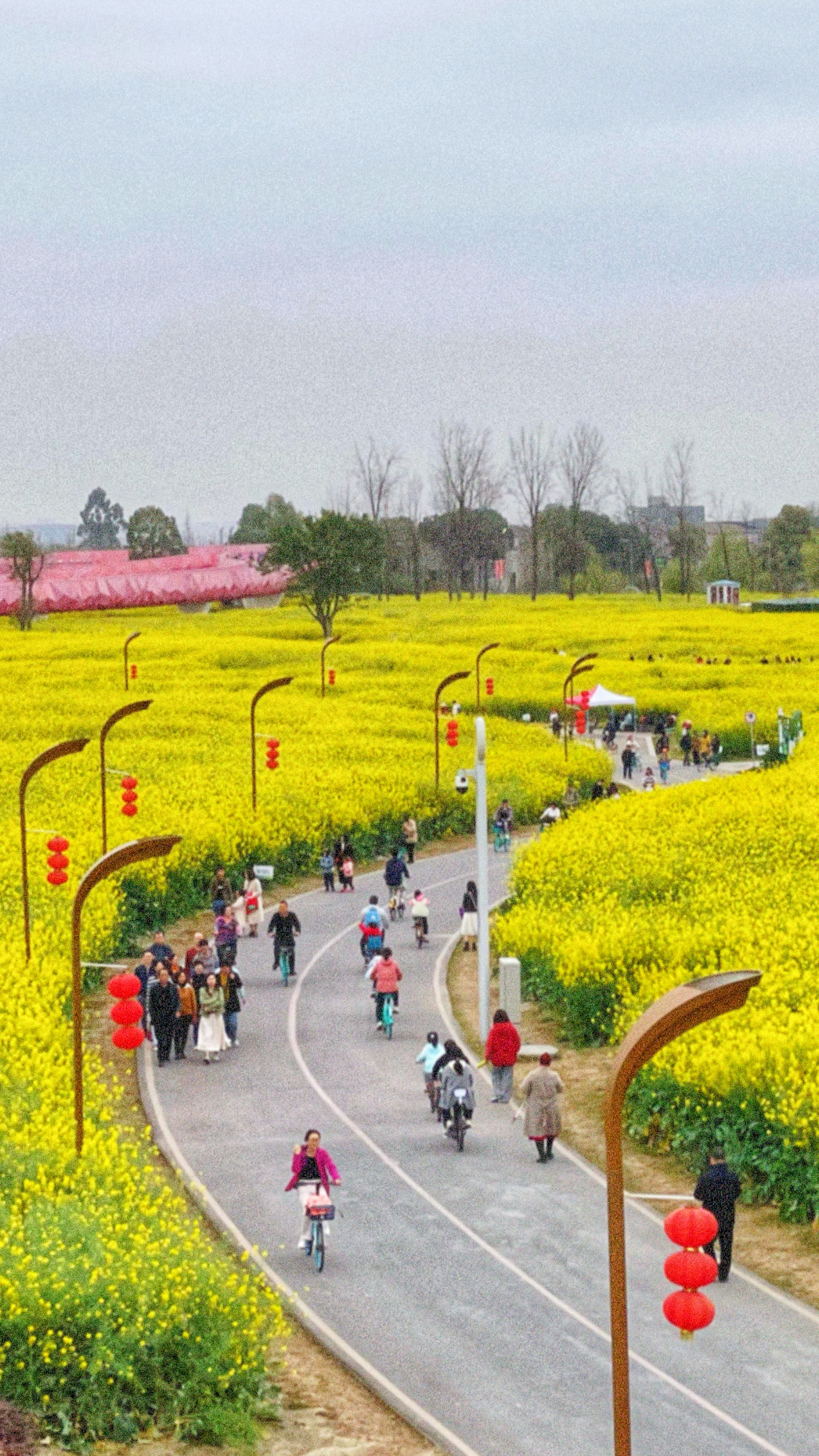 户外踏青赏花正当时 带火骑行、咖啡、旅拍经济(图6)