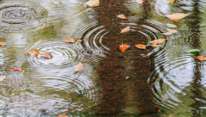 暴雨4级预警是什么意思 暴雨最高级别为什么色(图1)