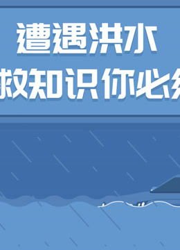 风雨同舟我与老婆的遭遇录(图1)