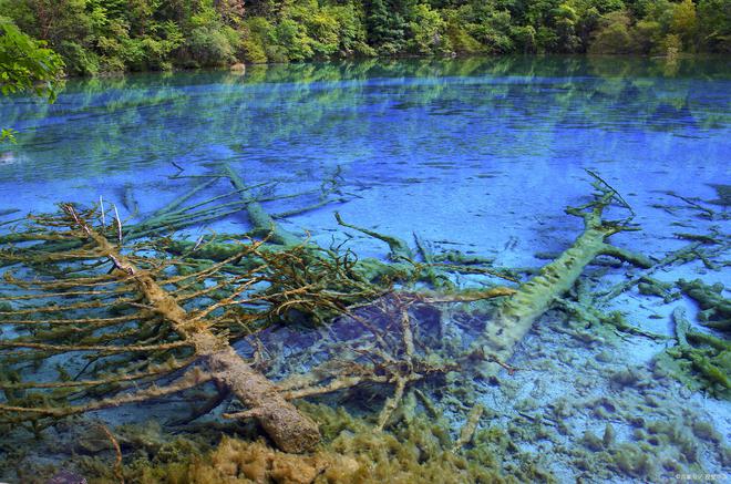 去黄龙九寨沟玩一周大概多少钱黄龙九寨沟一星期七天精品小团(图3)